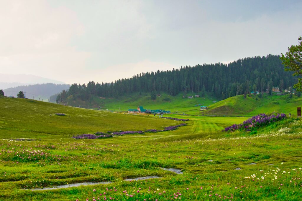 places to visit in Jammu and Kashmir