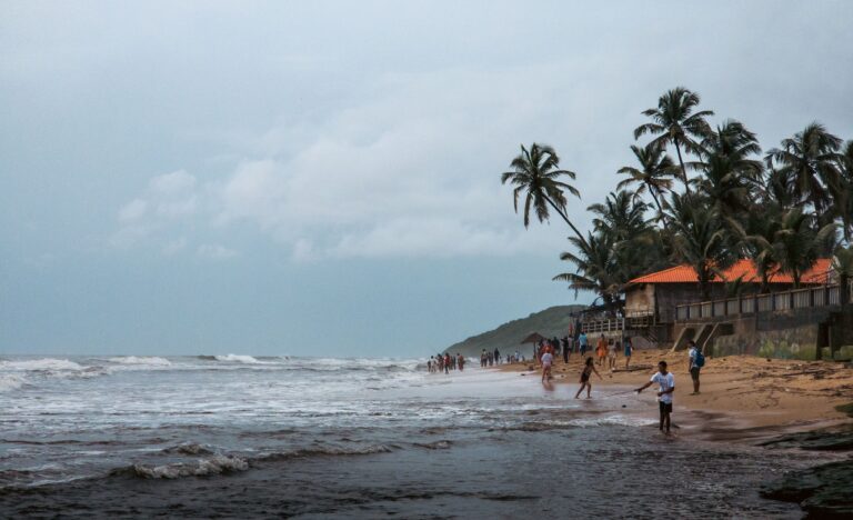 A picturesque beach in Goa, India with palm trees and people enjoying the leisure activities.