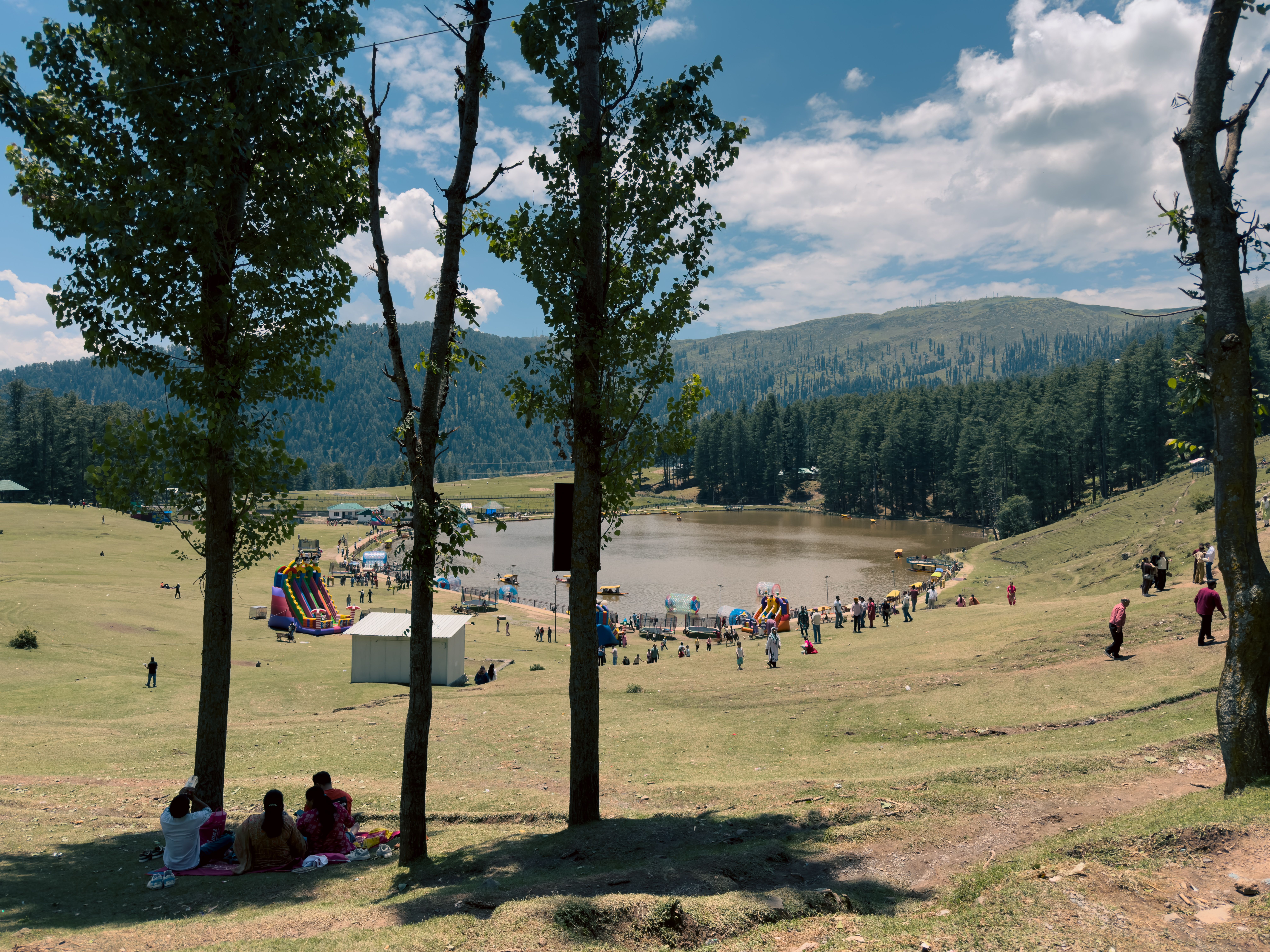 Forested hills around Patnitop